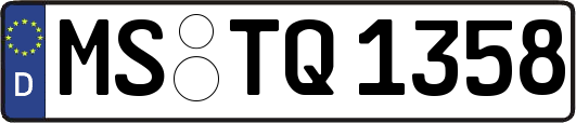 MS-TQ1358