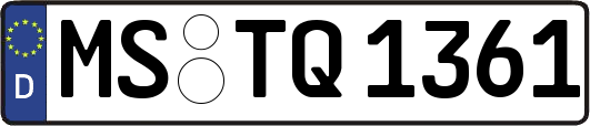 MS-TQ1361