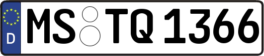 MS-TQ1366