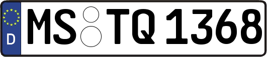 MS-TQ1368