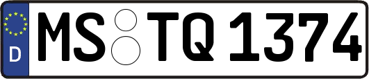 MS-TQ1374