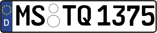 MS-TQ1375
