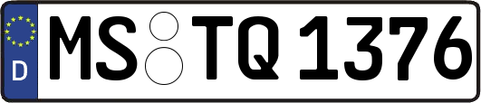 MS-TQ1376