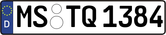 MS-TQ1384