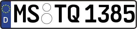 MS-TQ1385