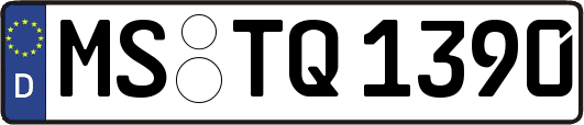 MS-TQ1390