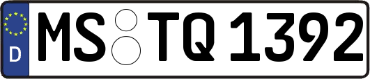 MS-TQ1392