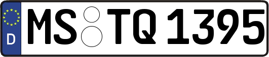 MS-TQ1395