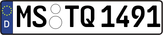MS-TQ1491