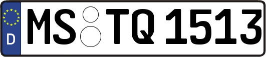 MS-TQ1513