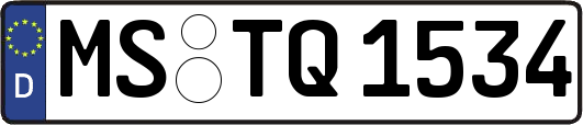 MS-TQ1534