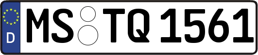 MS-TQ1561