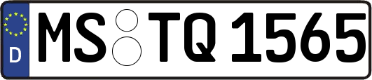 MS-TQ1565