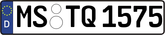 MS-TQ1575