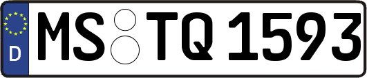 MS-TQ1593