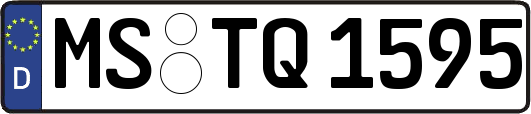 MS-TQ1595