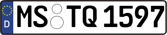 MS-TQ1597