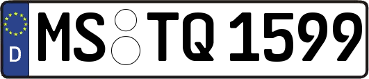 MS-TQ1599