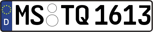 MS-TQ1613