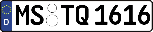 MS-TQ1616