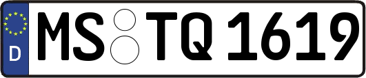 MS-TQ1619