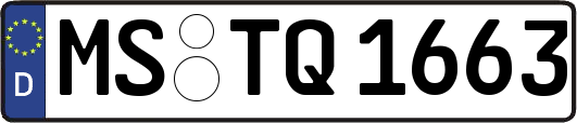 MS-TQ1663
