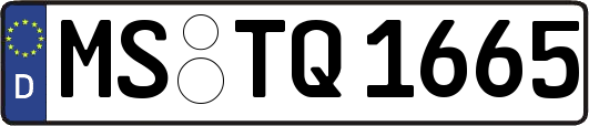 MS-TQ1665