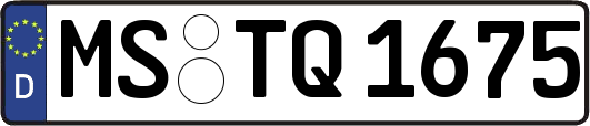 MS-TQ1675