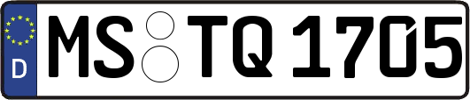 MS-TQ1705