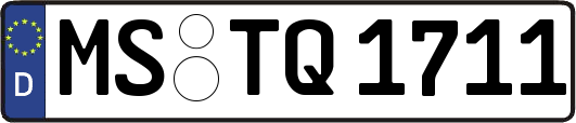 MS-TQ1711