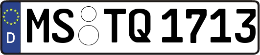 MS-TQ1713