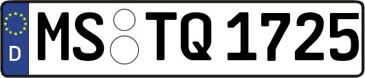 MS-TQ1725