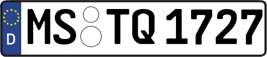 MS-TQ1727