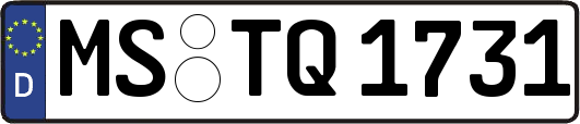 MS-TQ1731