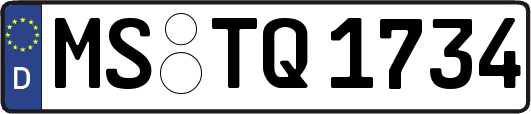 MS-TQ1734