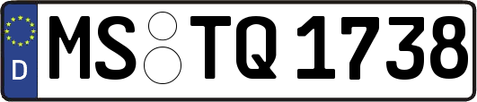 MS-TQ1738