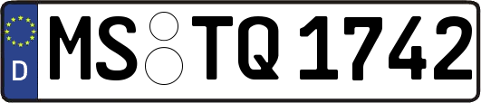 MS-TQ1742