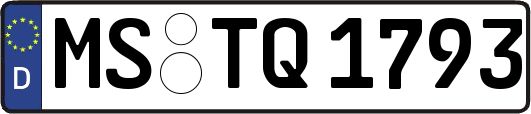 MS-TQ1793