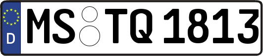 MS-TQ1813