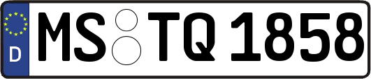 MS-TQ1858