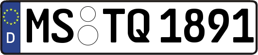 MS-TQ1891