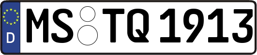 MS-TQ1913