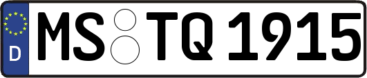 MS-TQ1915