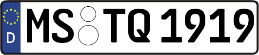 MS-TQ1919