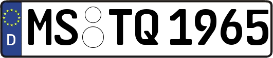MS-TQ1965