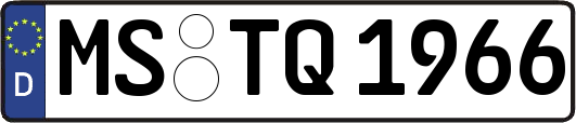 MS-TQ1966