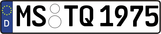 MS-TQ1975