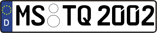MS-TQ2002