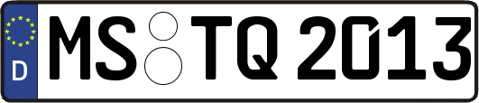 MS-TQ2013