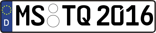 MS-TQ2016